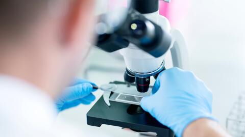 Nach Durchbruch in Krebsforschung: Heilmittel wohl ab 2027 auch in Europa zugelassen