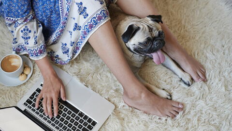 Youtuberin passiert Missgeschick beim Video-Hochladen und enthüllt, was sie mit ihrem Hund wirklich macht (Video)