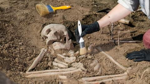 Forscher untersuchen menschliche Gehirne: 12.000 Jahre alt und außergewöhnlich gut erhalten geblieben