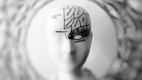 Wissenschaftler erklären: Darum vergessen wir Dinge