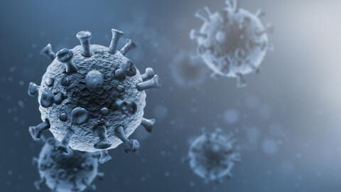 Tödliches Virus: Seltene Infektion in Bayern gemeldet