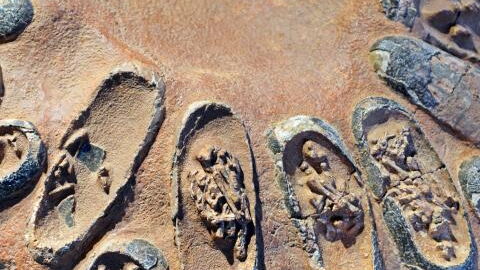 66 Millionen Jahre alt: Forscherteam entdeckt perfekt erhaltenen Dinosaurier-Embryo