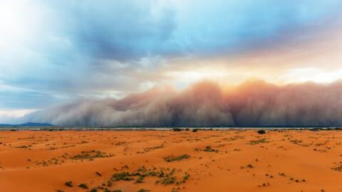 "Blutregen" und Saharastaub: Warmluft aus Nordafrika bringt den Frühling nach Deutschland