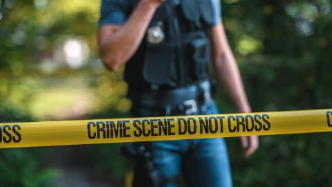 Vermisst, Politik, Polizei