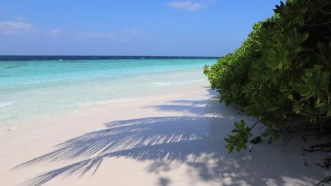 Nicht in der Karibik: Hier ist der schönste Strand der Welt