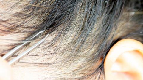 Hairstylist rät: Darum solltest du deine grauen Haare niemals ausreißen