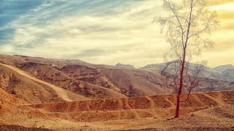 "Heat-Dome": Lebensgefahr durch Hitze-Phänomen