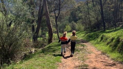Tödliche Gefahr auf dem Foto: Kannst du sie entdecken?