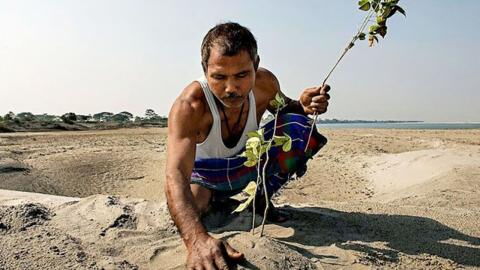 Aus Wüste wird Wald: Mann pflanzt seit über 40 Jahren jeden Tag einen Baum