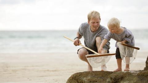 Ostsee: Tausende grüne Kugeln am Strand lassen Experten zunächst ratlos zurück