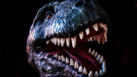 "Reaper of Death": Wissenschaftler entdecken neuen Dinosaurier