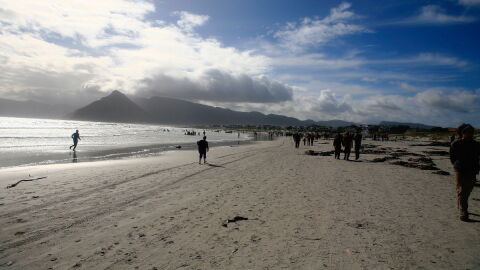 Seltsames Objekt am Strand: Die Behörden finden traurige Überreste