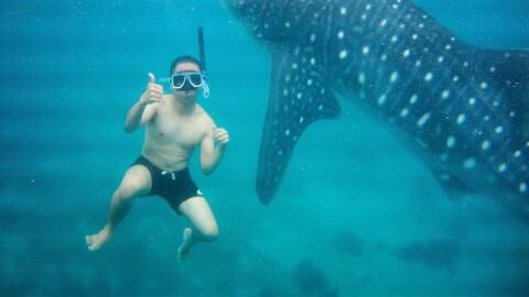 Virales Video: Ein junger Mann schwimmt mit Haien, doch es läuft nicht wie geplant