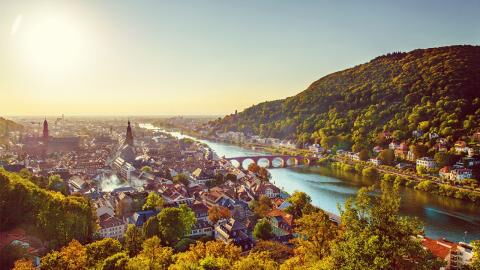 Tigermücke: Dieses bedrohliche Tier breitet sich in Deutschland aus