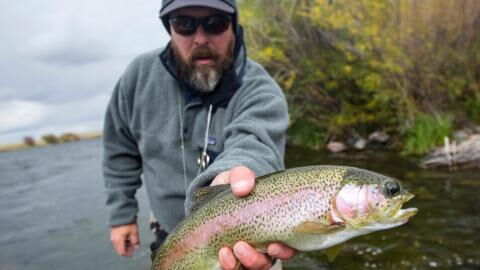 Angler macht eine grausige Entdeckung in seinem frisch gefangenen Fisch