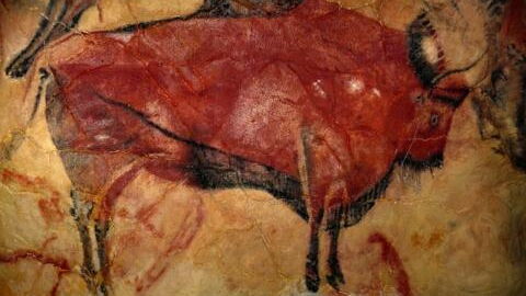 Archäolog:innen staunen: 9.000 Jahre alter, perfekt erhaltener Bison in Sibirien entdeckt