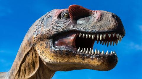 T-Rex: Dieses Detail an seinem Körper macht ihn weit weniger furchteinflößend als angenommen
