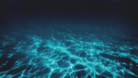 Neue Art von Tiefseevampir in Frankreich entdeckt