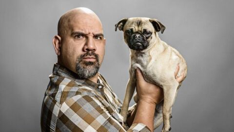 Gesetzgebung für den Hund: Das müssen Hundebesitzer wissen