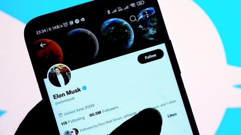 Elon Musk als Twitter-Chef: Er lässt per Umfrage über seinen Rücktritt abstimmen
