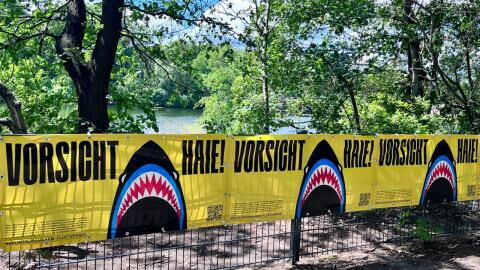 Baden auf eigene Gefahr: Hai-Alarm an Berliner Badesee