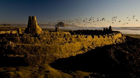 Coronavirus: Tom Cruise baut eine geheime Festung