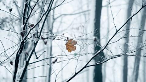Der Dezember wird kalt: Russisches Hochdruckgebiet bringt Schnee und Frost nach Deutschland