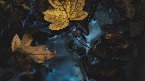 Nächster Wetterrekord? Das folgt auf Hitze und Dauerregen