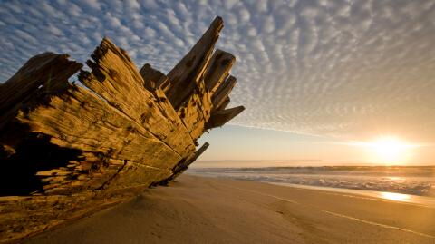 Wrack der "Gribshunden" vor schwedischer Küste: Das wurde in dem mittelalterlichen Schiff gefunden