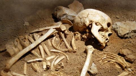 Grusel-Fund: Archäologen finden mehrere Skelette im Garten eines Hotels