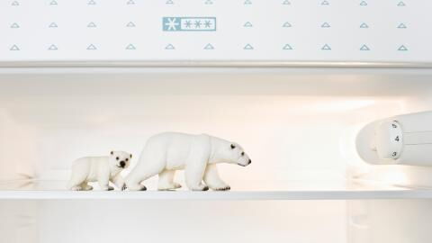 Deshalb solltet ihr zu Beginn des Jahres das Gefrierfach abtauen