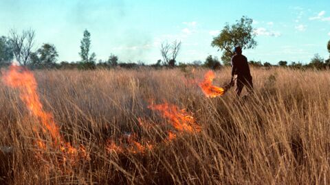 Buschfeuer in Australien: Aborigines haben jahrtausendealte Lösung