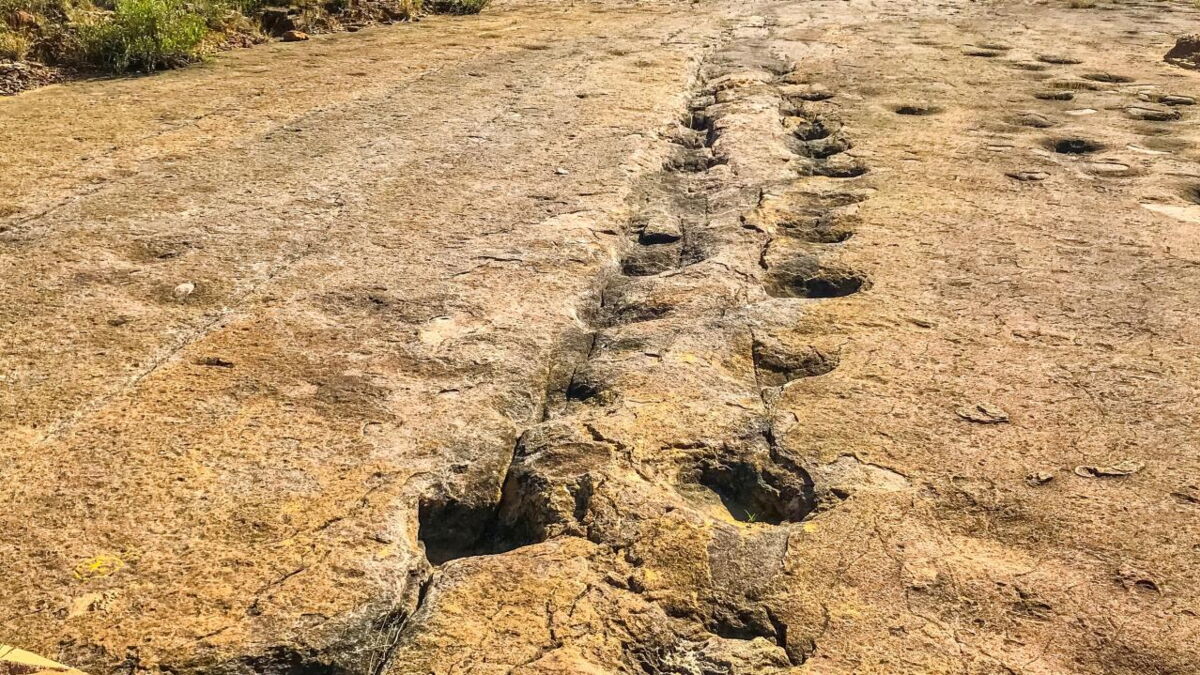Wegen Klimawandel Dürre enthüllt faszinierende Dinosaurierspuren in Texas