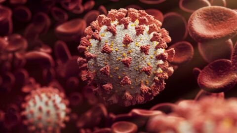 Wissenschaft beunruhigt: Britische Variante des Coronavirus mutiert 