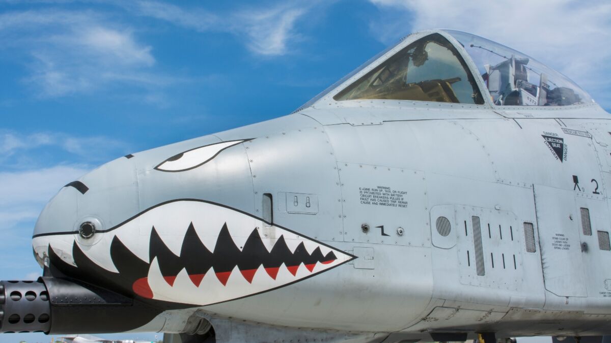 Die Wahrheit! Us Luftwaffe Kauft Cybertrucks – Das Sollten Sie Wissen! - po3ahwv