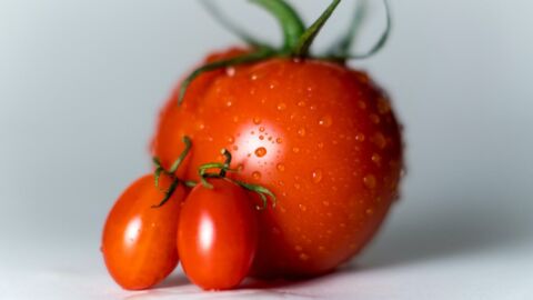 Naschen vom Balkon? Mit diesen 13 wertvollen Tipps gelingt dir der Anbau von Tomaten