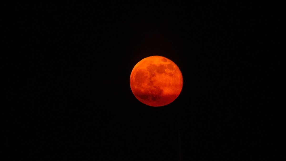 "Blutmond" Um diese Uhrzeit kann man das seltene Phänomen heute beobachten