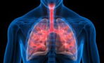Ein neues "Körperteil" wurde in unserer Lunge entdeckt