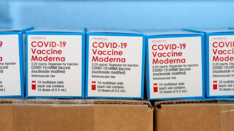 Covid-19: Moderna-Impfstoff soll laut Studie tatsächlich Herzprobleme verursachen