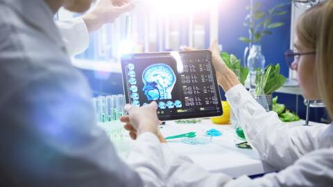 Tod der Endothelzellen: So greift Covid-19 das Gehirn an