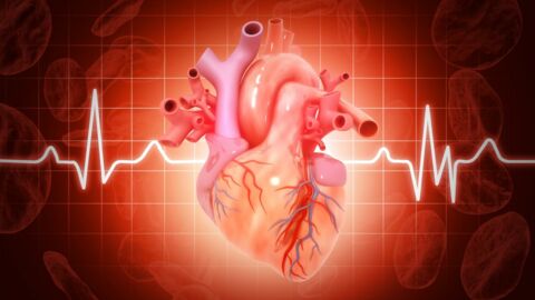 Corona: Welche Auswirkungen hat das Virus auf unser Herz?