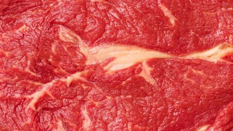 Mann isst nichts als rohes Fleisch, um zu sehen, wie lange er überleben kann