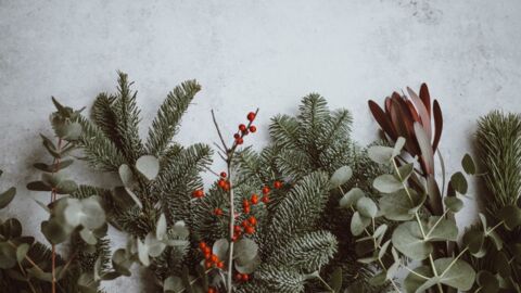 Tannenbaum, Geschenkpapier und Co: Wie entsorgen wir unseren Weihnachtsabfall richtig?