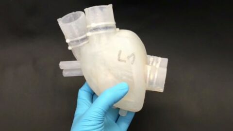 Des scientifiques créent un coeur artificiel imprimé en 3D qui bat comme un vrai