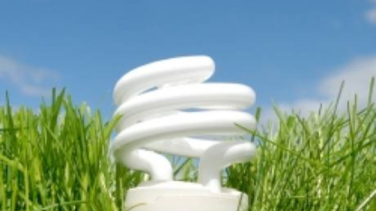 Développement durable excellent écobilan pour les ampoules basse