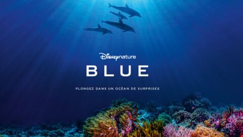 Blue, le nouveau film de Disneynature qui rend un magnifique hommage à l'océan