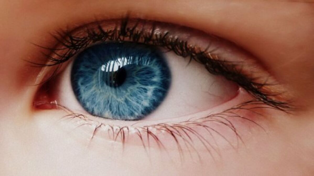 D'où vient la couleur des yeux bleus ? Une origine plus étonnante que vous  ne pensez