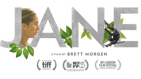 JANE, le fabuleux documentaire qui retrace l'aventure de Jane Goodall au milieu des chimpanzés