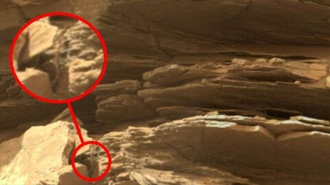 Des internautes repèrent... un serpent à la surface de la planète Mars