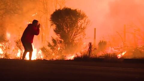 Incendies en Californie : quand un homme risque sa vie pour sauver un lapin des flammes